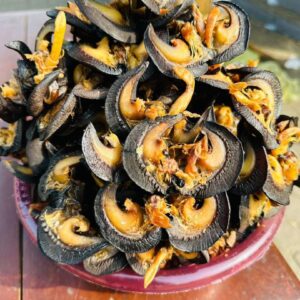Oven Dried Snail/Large size - Worldwide Delivery