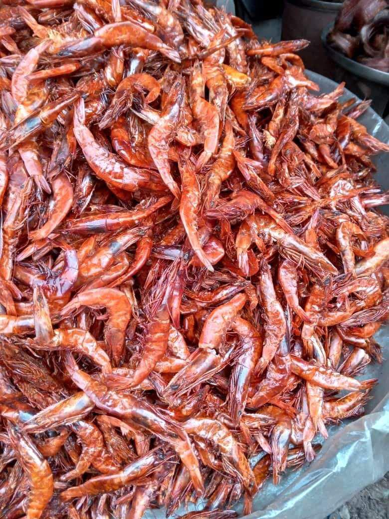 Buy Nigerian Shrimps