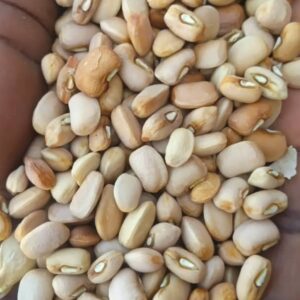 Oloyin Beans - Worldwide Delivery