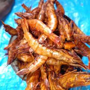 Buy prawn from Nigeria
