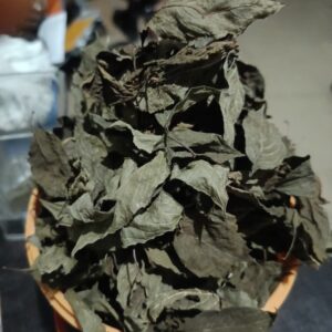 Buy Scent Leaf from Nigeria