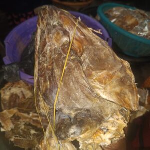 Buy Stockfish head from Nigeria