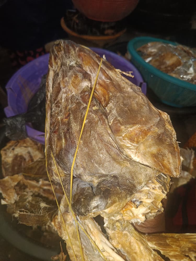 Buy Stockfish head from Nigeria
